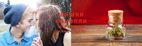 прущие крисы Заводоуковск